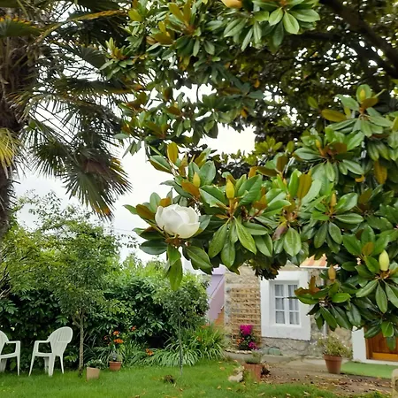 Casamarietacantabria Reocín Exterior foto